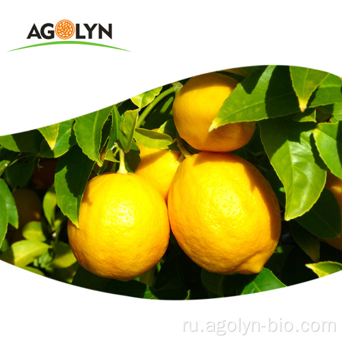Натуральный желтый свежий лимонный фрукт на продажу